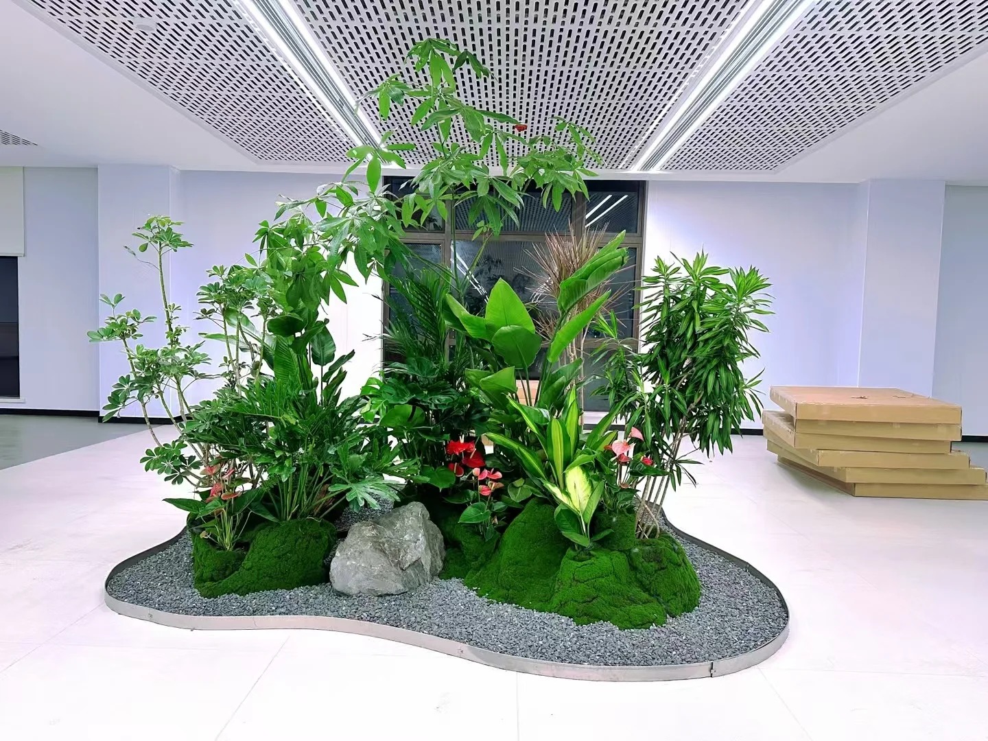 体验余姚花木出租，畅享绿色环绕的惬意